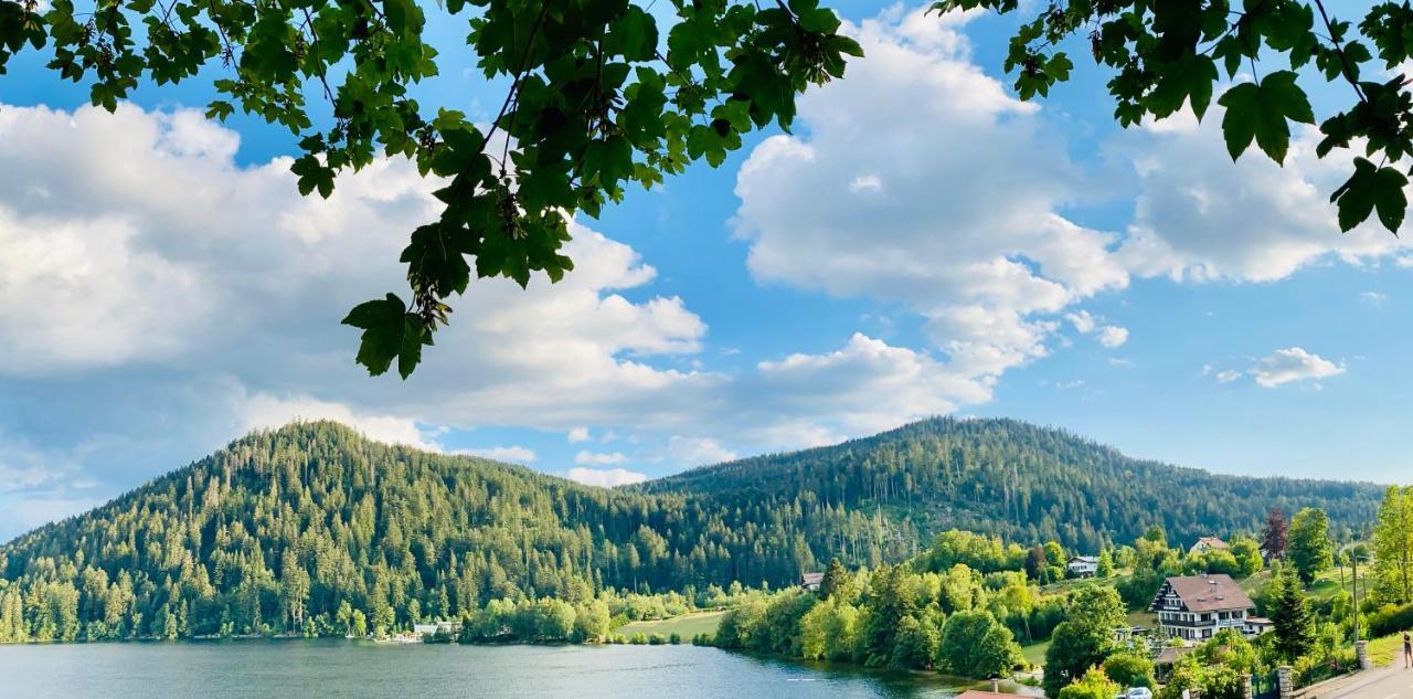 Le Chalet Au Bord Du Lac Жерарме Экстерьер фото